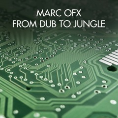 Marc OFX - No Doubt Jungle Remix