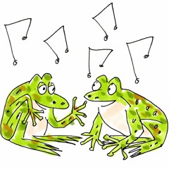 Funny Frogs