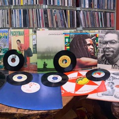 The Reggae Rodeo EP 93