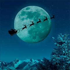 See Santa's Reindeer Fly