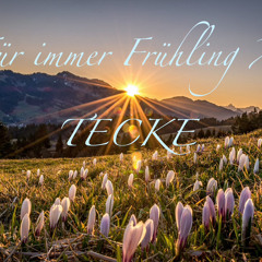NOISEFORGE - FÜR IMMER FRÜHLING [TEKKNO BOOTLEG]