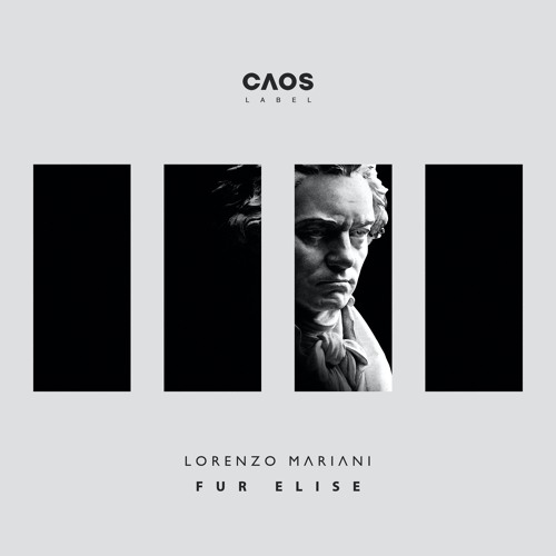 Lorenzo Mariani - Fur Elise