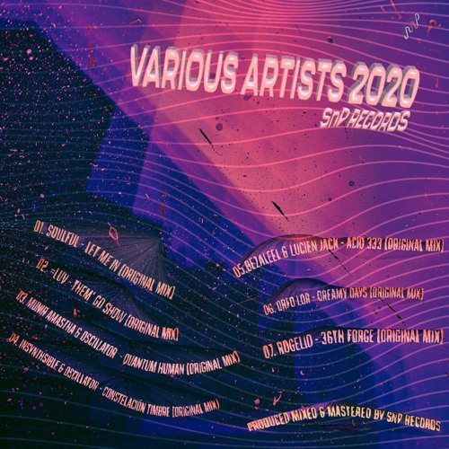 20VASnP By SnP Records