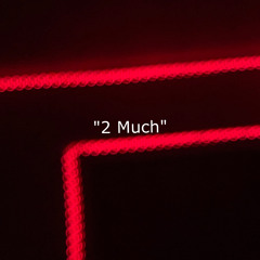 2 Much (prod.triazo)