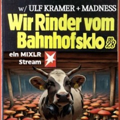 Wir Rinder vom Bahnhofsklo 028 with Ulf Kramer & Madness
