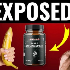Animale Male Enhancement Australia Worth, Markdown Offers and Tips To Purchase!