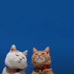 When You Go Quiet by Guster Remix