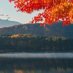 Retrospect - Loop Of Love (Live In Mauri's Room With DJ Overload)