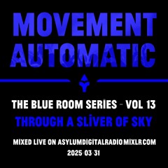 Through a Sliver of Sky - Blue Room Series Vol. 13