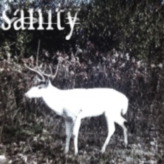 dying deer