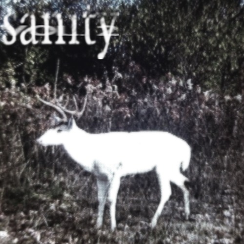dying deer