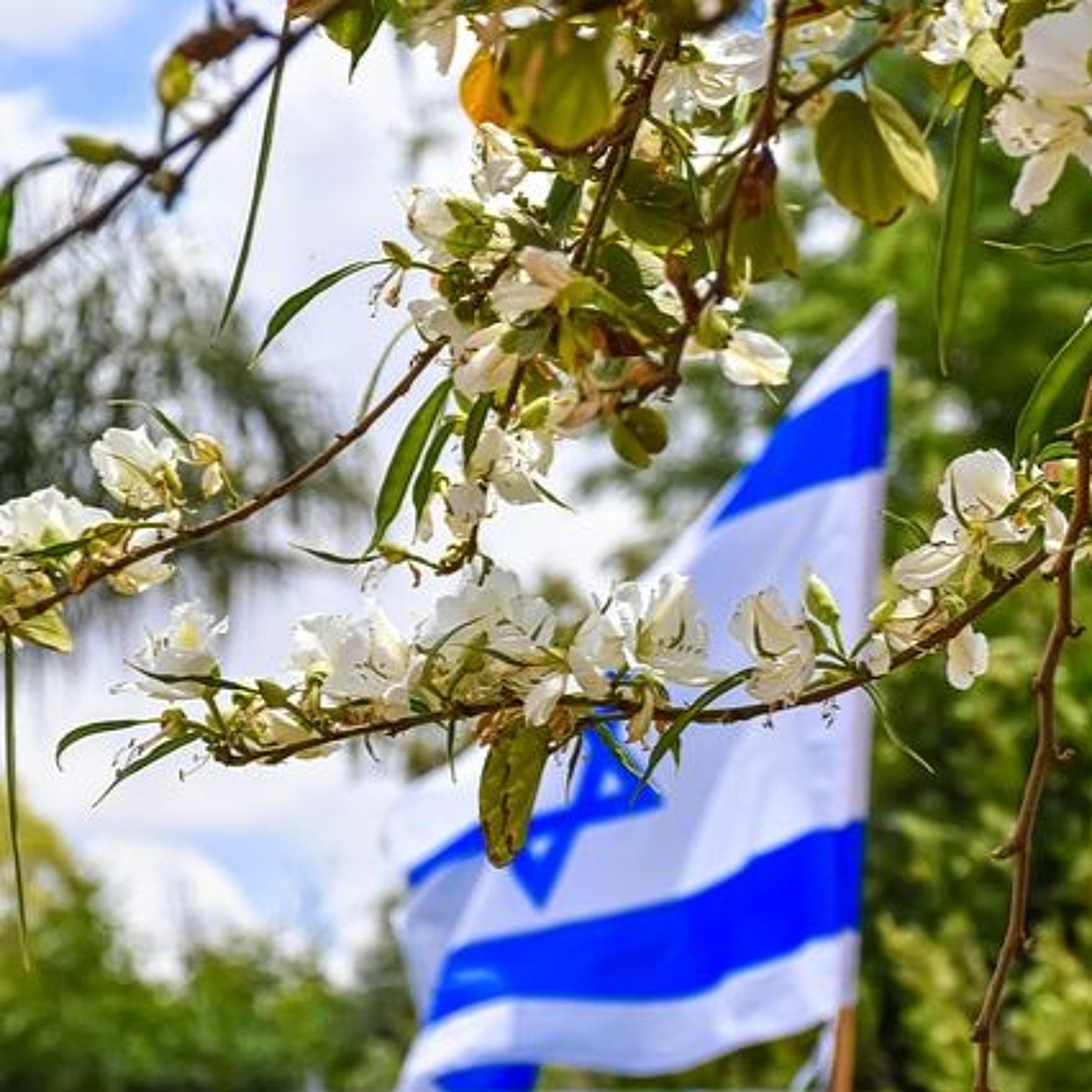 We Celebrate Independence - The Jay Shapiro Show