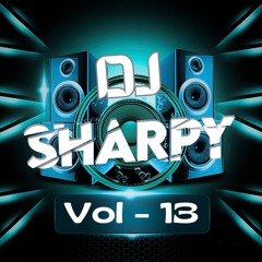 Vol 13 - 2024