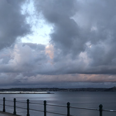 beach baby bon iver cover