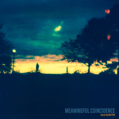 MEANINGFUL COINCIDENCE - mixed by MACTOR [2024]