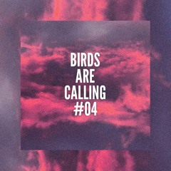 Maz @ Birds Are Calling #04