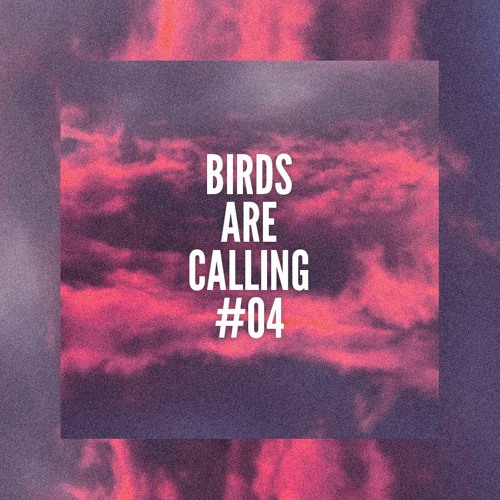 Maz @ Birds Are Calling #04