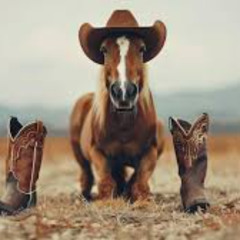 Fastest Gun in the West