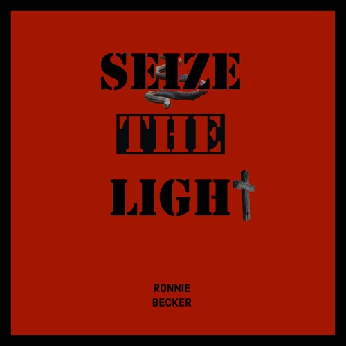 Seize The Light