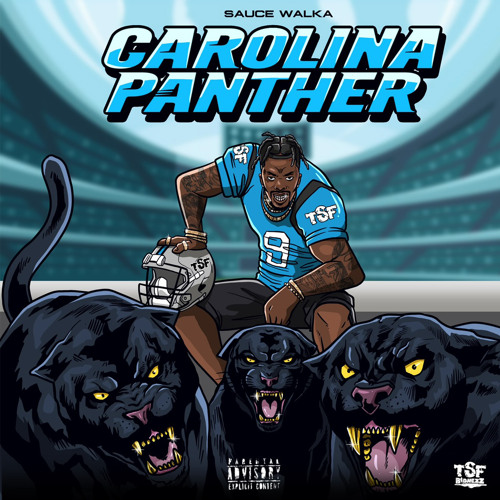 Carolina Panther