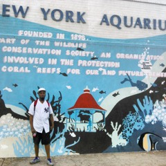 The Ladies Of R&B And Hip Hop Old School (2021)