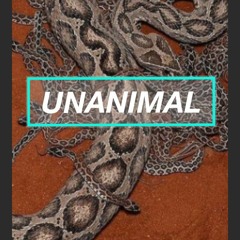 PREASURE DNB (clip.)