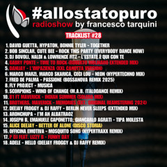 Allo Stato Puro 028