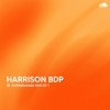 Overbruggen Podcast - Harrison BDP - #01- 2024 DJ mix artwork - Electronic music tracklist cover image