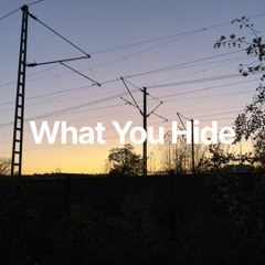 What You Hide