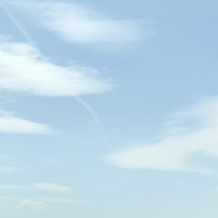 晩夏