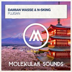 Damian Wasse & N-sKing - Fujisan