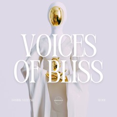 Dominik Saltevski - Voices of Bliss (Origina Mix)