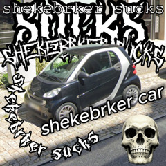 Project_85 (shekbrek sucks)