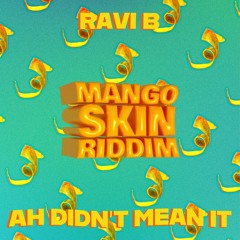 Ravi B x Rebel Muzik - Ah Didn't Mean It (Mango Skin Riddim)