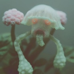 🔮 RECORDING SET 🔮