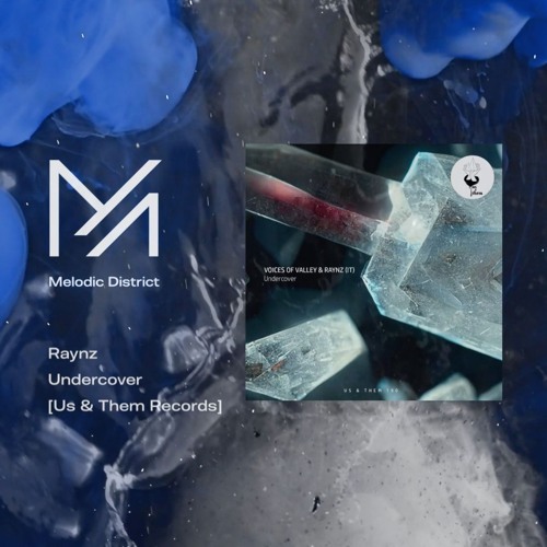 PREMIERE: Voices of Valley & Raynz - Undercover [Us & Them Records]