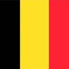 This is The Beat of Belgium! (100% Vinyl - 200% Belgium)(Second Edition)