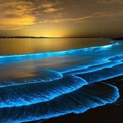 Blue monday