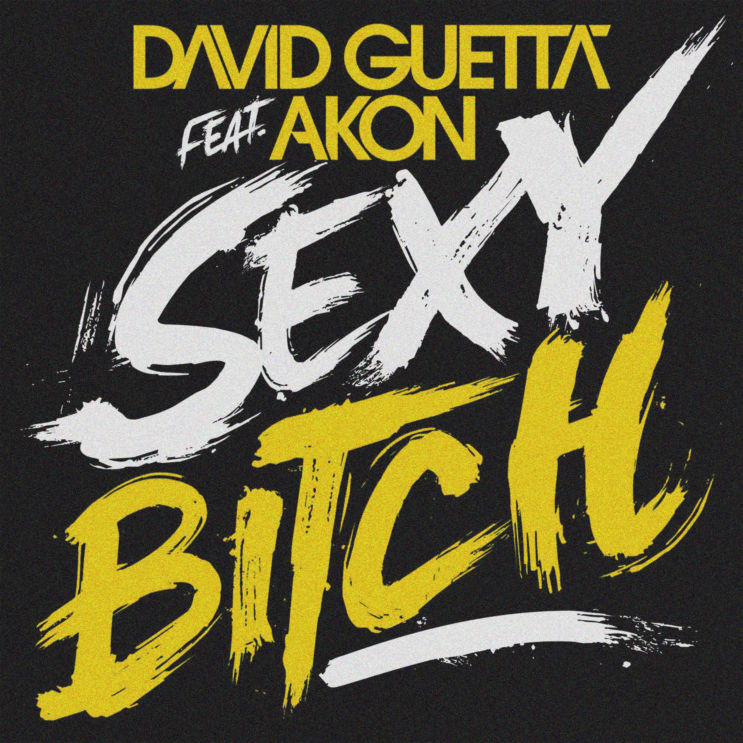 David Guetta (feat. Akon) – Sexy Bitch (SILENZIUM Techno Remix)