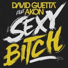 David Guetta (feat. Akon) - Sexy Bitch (SILENZIUM Techno Remix)