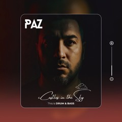 Castle in the Sky (Paz Remix)