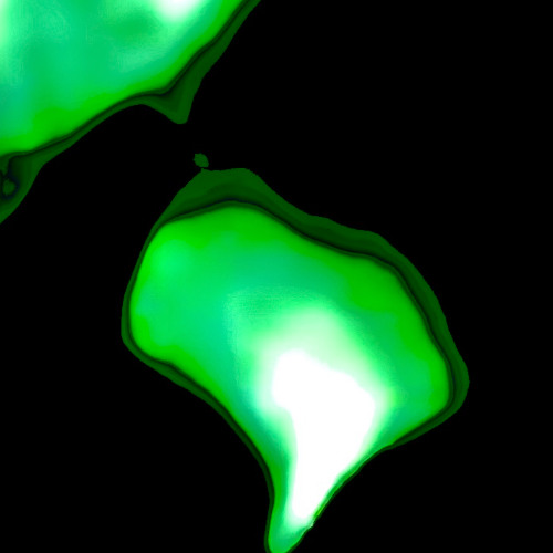 The Re-Emergence of Noir, Part One // Bad Nights