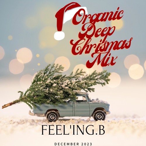 ORGANIC DEEP CHRISTMAS MIX - #018 - [Dec 2023]