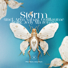 Premiere | Piter Black & Jessy Black - Storm [Axiom Music]