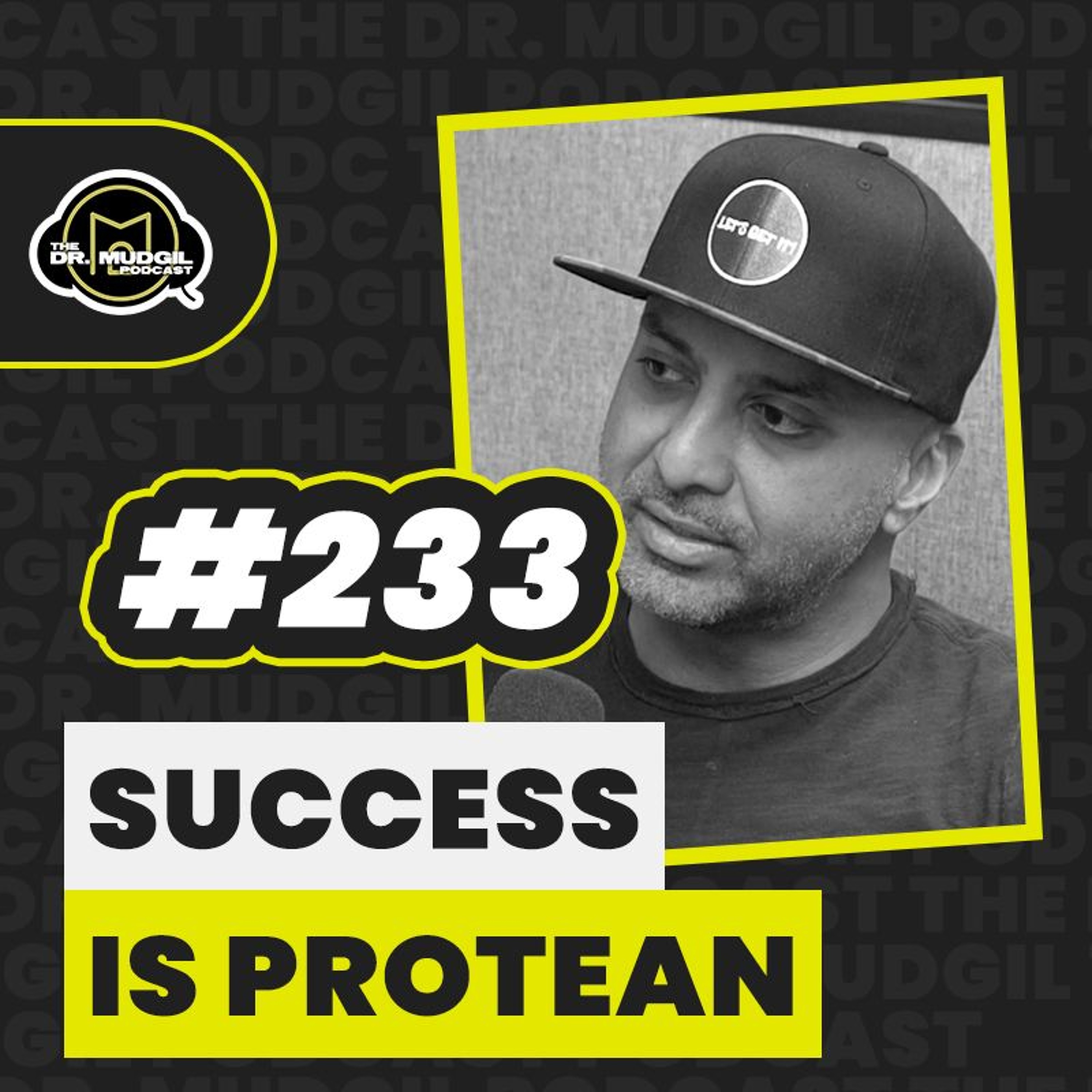 Episode 233 - SUCCESS IS PROTEAN episode artwork