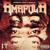Artwork for Amapola