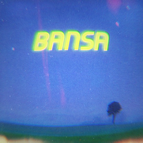 BANSA W. RYZXN & ESSVM