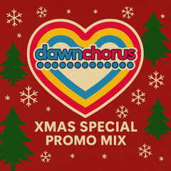 DAWN CHORUS XMAS 2025 MINI MIX