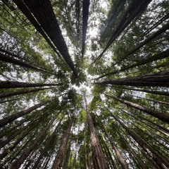 habitación rodeada de espejos