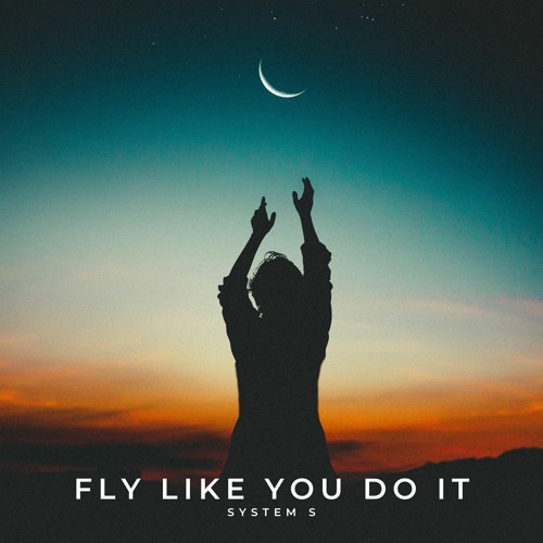 Fly Like You Do It - Out 28th April